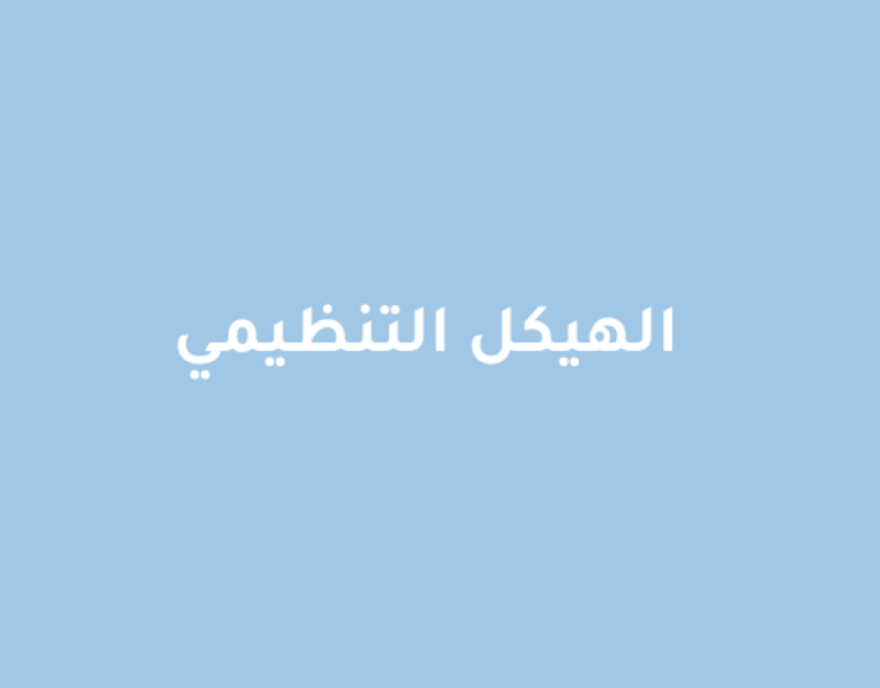 الهيكل التنظيمي